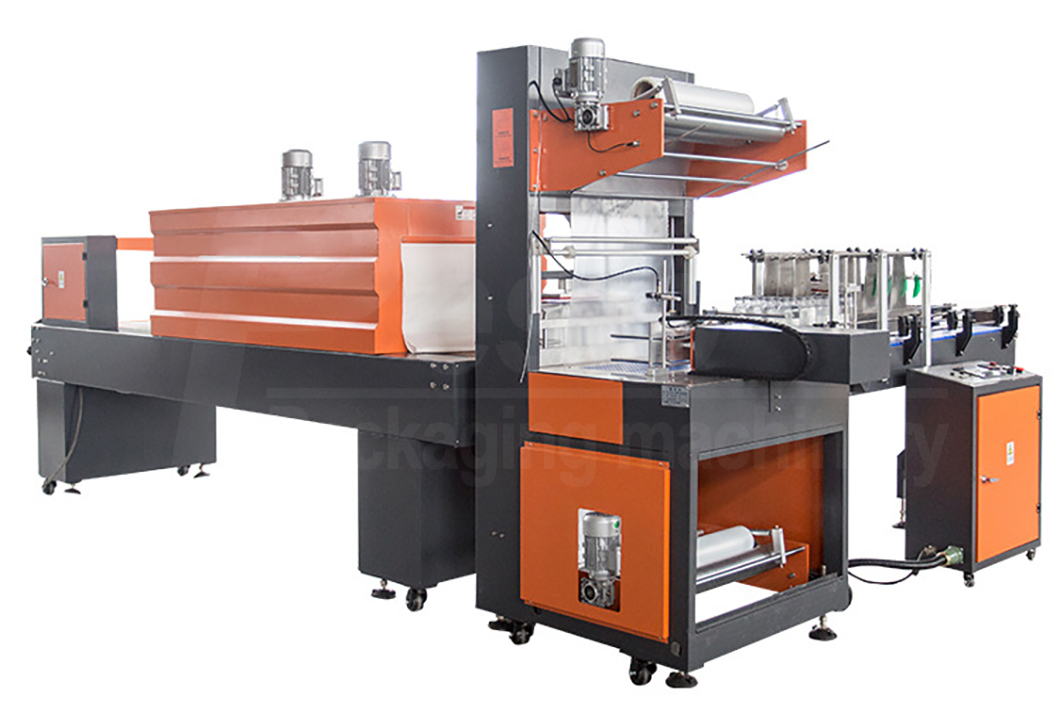 Pangkalahatang-ideya ng produkto ng Shrink wrapping machine-product